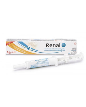 Renal n pasta 15ml