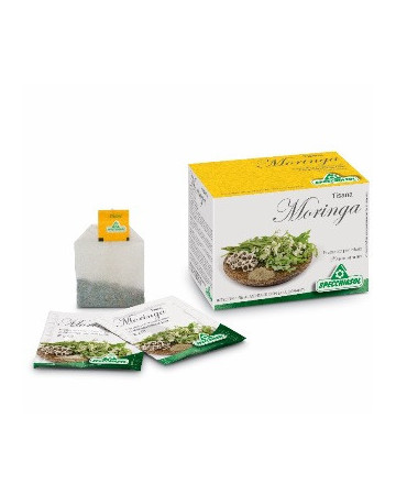 Tisana moringa 20bust