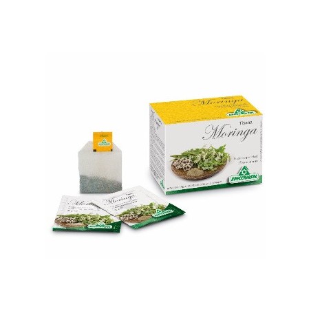 Tisana moringa 20bust