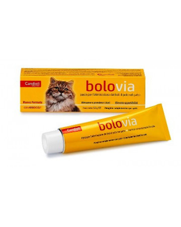 Bolo via pasta gatti 50g Bolo via pasta gatti 50g
