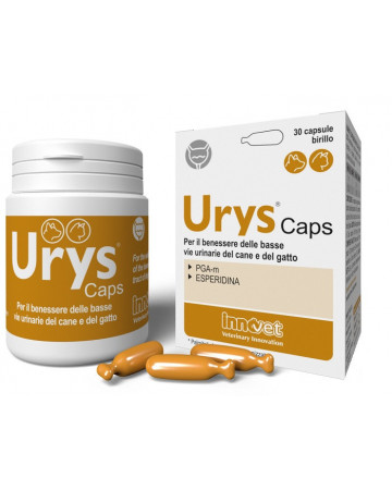 Urys caps 30 capsule