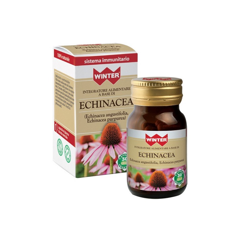 Winter echinacea 30 capsule veg Winter echinacea 30 capsule veg