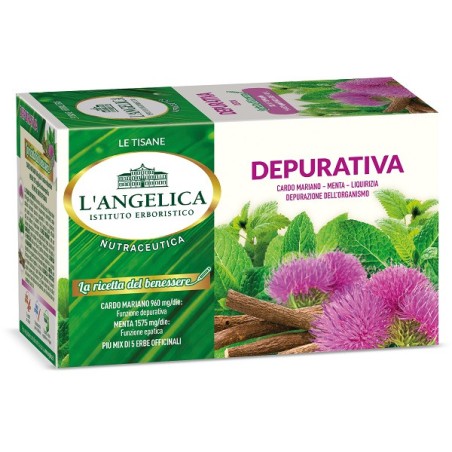 L'angelica tisana depurativa