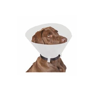 Collare elisab clas/op 12,50 s