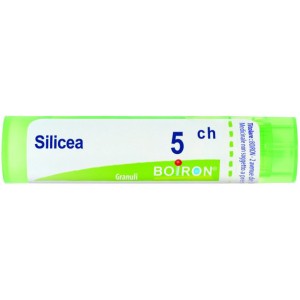 Silicea 5ch gr