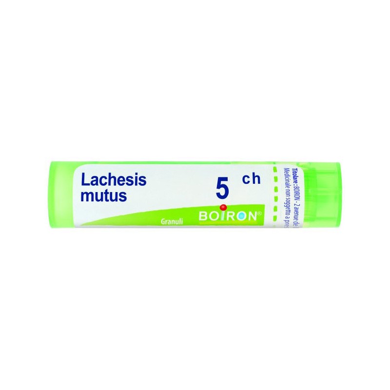 Lachesis mutus 5ch gr Lachesis mutus 5ch gr
