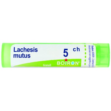 Lachesis mutus 5ch gr