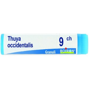 Thuya occident 9ch gl