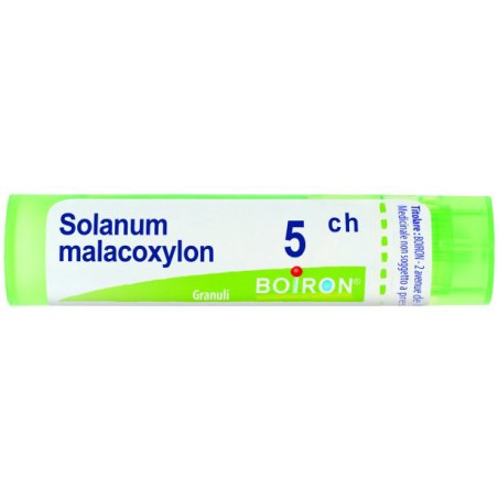 Solanum malacoxilon 5ch gr