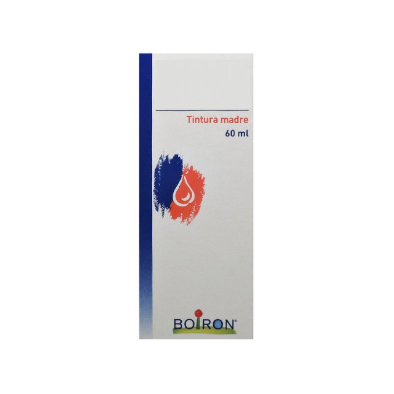 Thuya occident 60ml tm Thuya occident 60ml tm