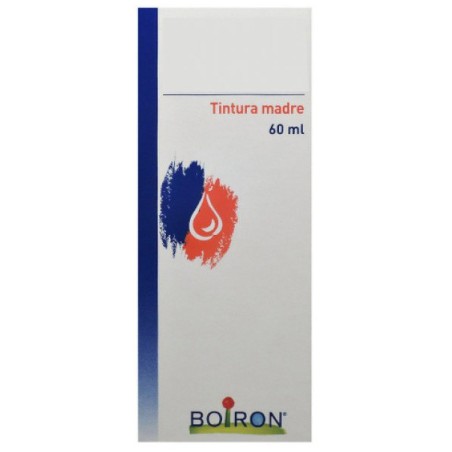 Thuya occident 60ml tm