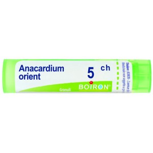 Anacardium orient 5ch gr