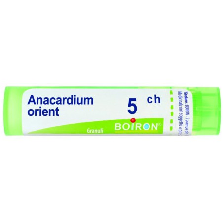 Anacardium orient 5ch gr