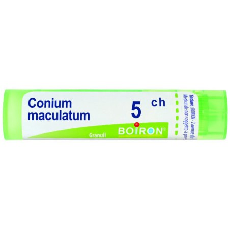 Conium maculatum 5ch gr