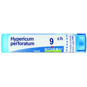 Hypericum perfor 9ch gr