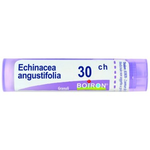 Echinacea angust 30ch gr
