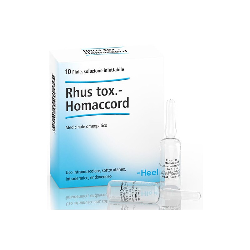 Rhus tox homac 10f 1,1ml heel