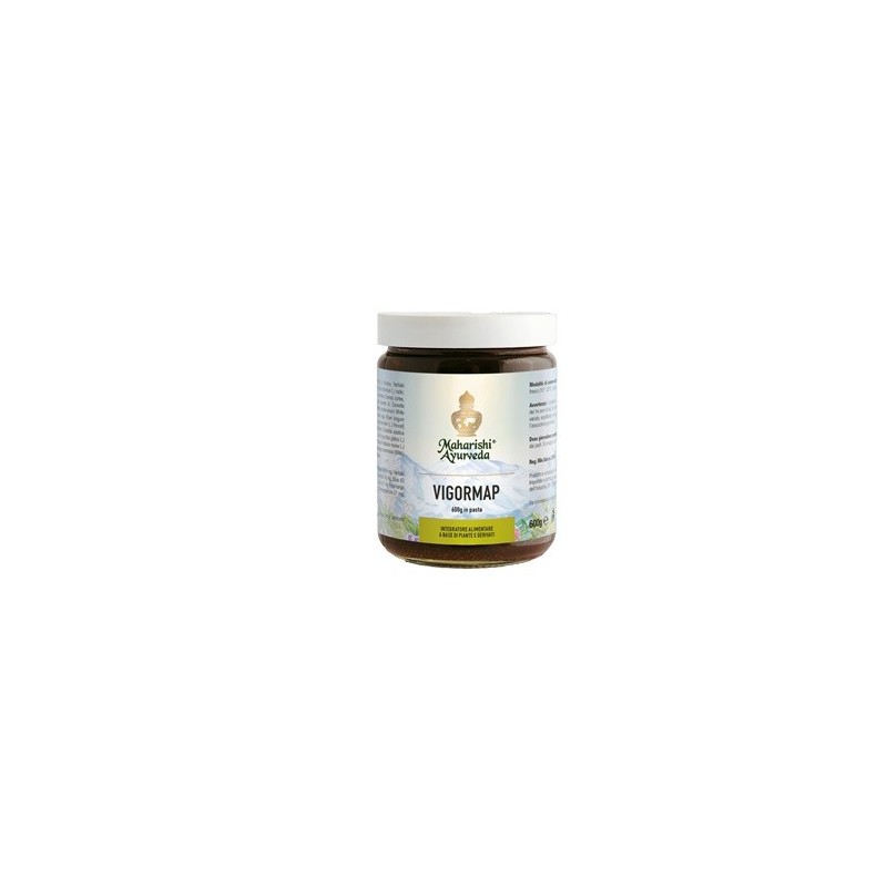 Vigormap pasta 600 g