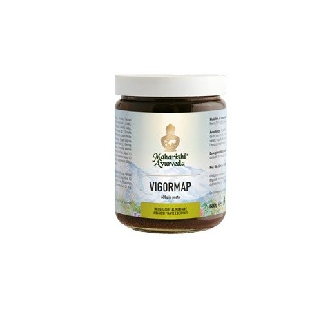 Vigormap pasta 600 g