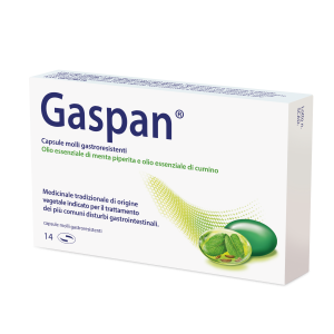 Gaspan 14 capsule molli gastrores 90 mg + 50 mg