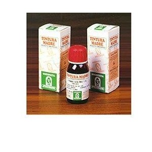 Damiana 29 50ml tm