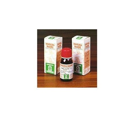 Damiana 29 50ml tm