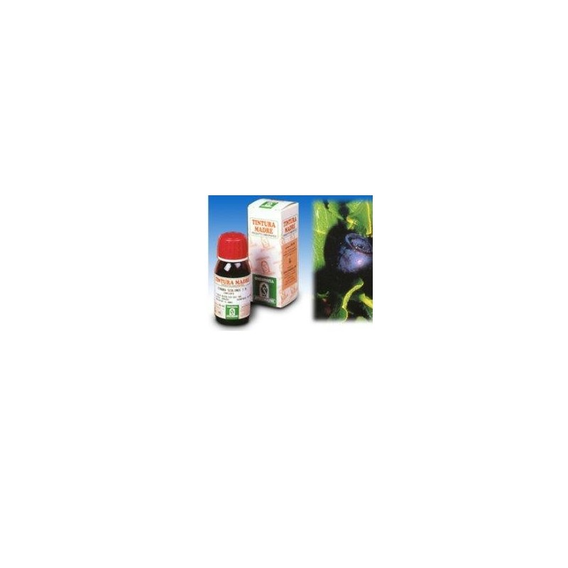 Mirtillo 31 50ml tm Mirtillo 31 50ml tm