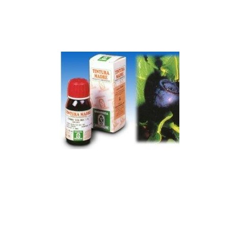 Mirtillo 31 50ml tm