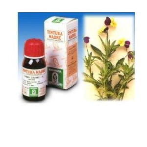 Viola del pensiero 32 50ml tm