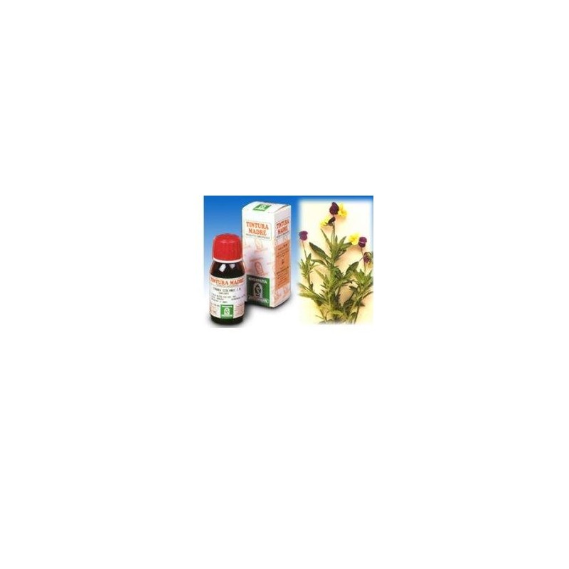 Viola del pensiero 32 50ml tm Viola del pensiero 32 50ml tm