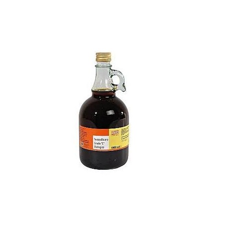 Fior di loto sciroppo d'acero grado c 250 ml