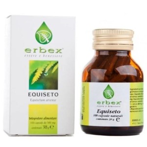 Equiseto 100 capsule 380mg