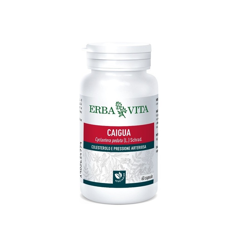 Caigua 60 capsule 400 mg