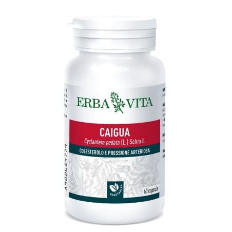 Caigua 60 capsule 400 mg