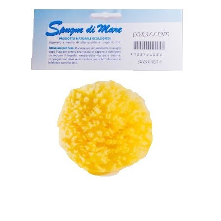 Spugna mare naturale medium