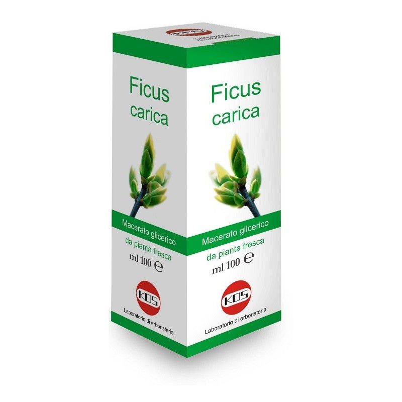 Ficus carica macerato glicerico 100 ml Ficus carica macerato glicerico 100 ml