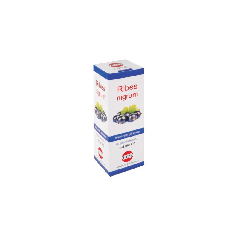 Ribes nigrum macerato glicerico 100 ml gocce