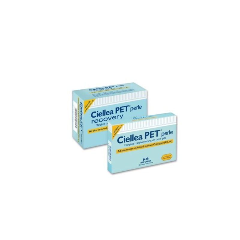Ciellea pet recovery blister 60 perle Ciellea pet recovery blister 60 perle
