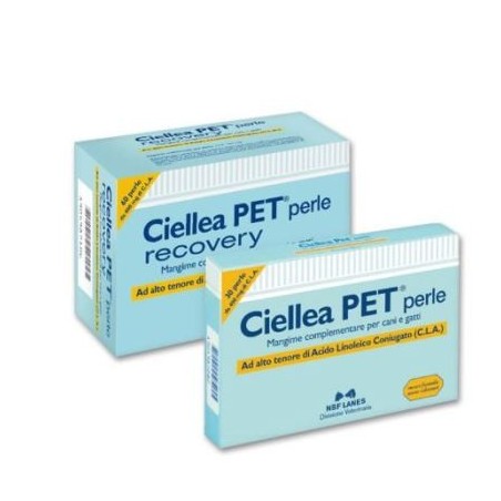 Ciellea pet recovery blister 60 perle