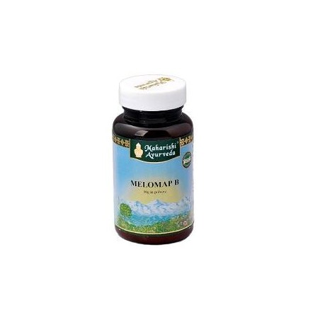 Melomap b polvere 30 g