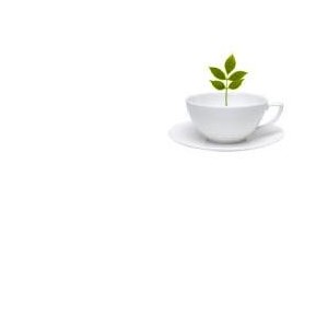 Tisalax miscela di erbe 100 g taglio tisana