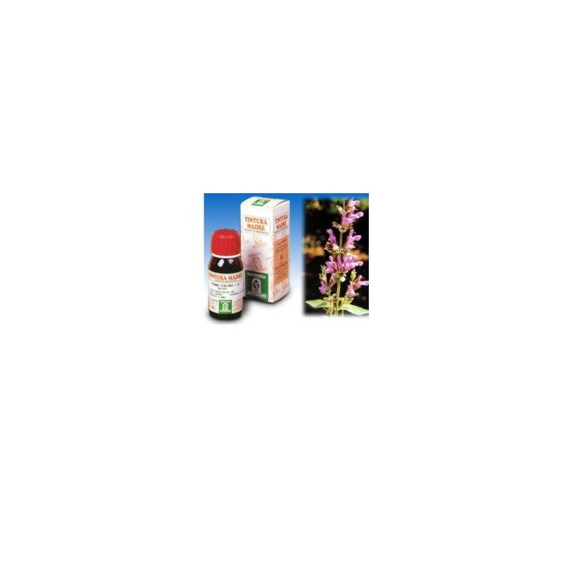 Salvia 25 50ml tm Salvia 25 50ml tm