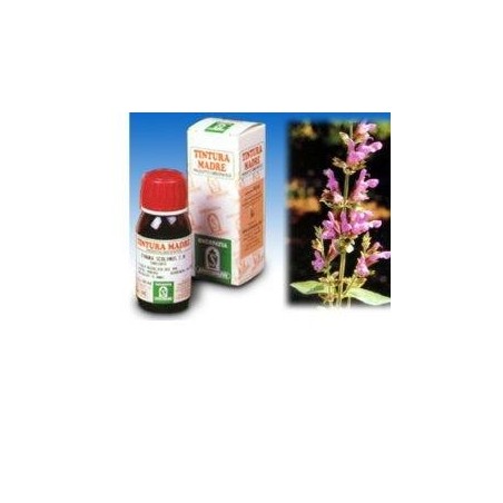 Salvia 25 50ml tm
