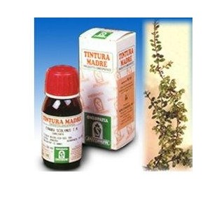 Uva ursina 30 50ml tm