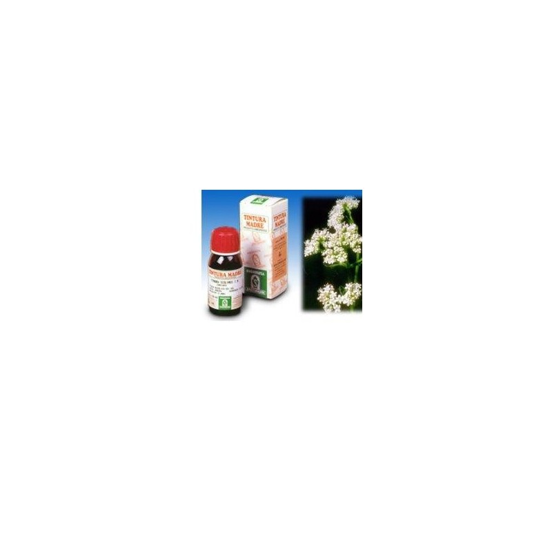 Valeriana 36 tintura madre 50 ml Valeriana 36 tintura madre 50 ml