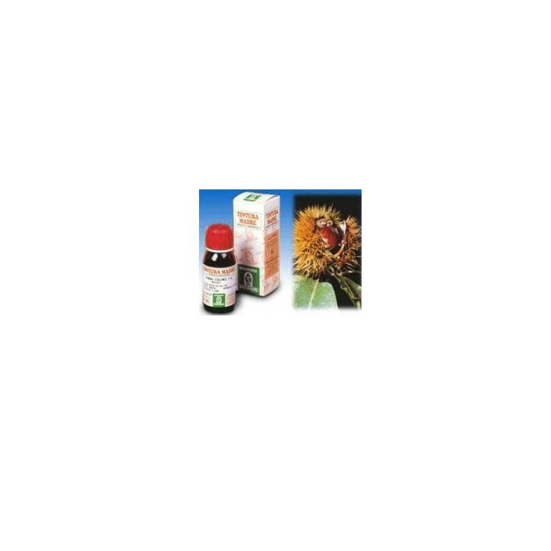 Agnocasto 53 50ml tm Agnocasto 53 50ml tm