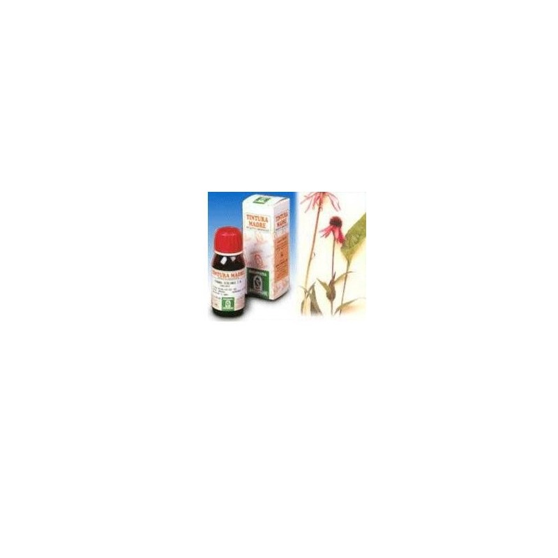 Echinacea 59 50ml tm Echinacea 59 50ml tm