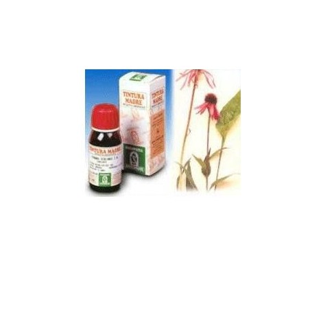 Echinacea 59 50ml tm