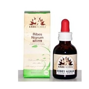 Fitoblasto ribes nigrum 50 ml