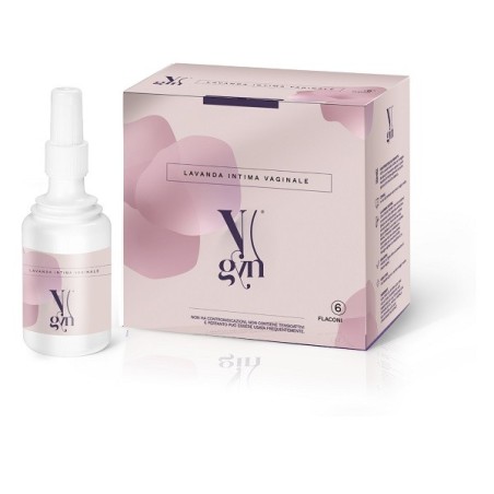 V gyn lavanda interna 6 flaconi x 150 ml